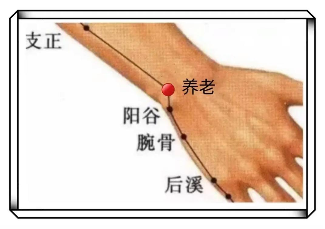 老年遗尿的针灸穴位