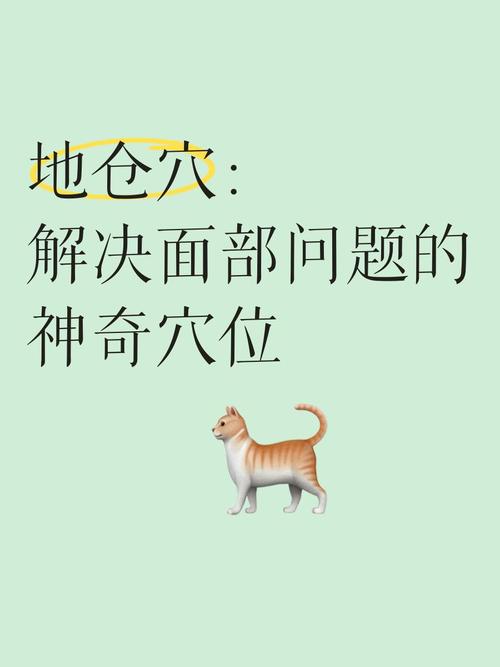 地仓穴位准确位置图