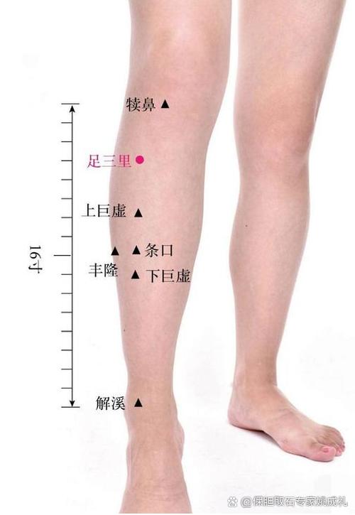 穴位拍打治疗胆结石