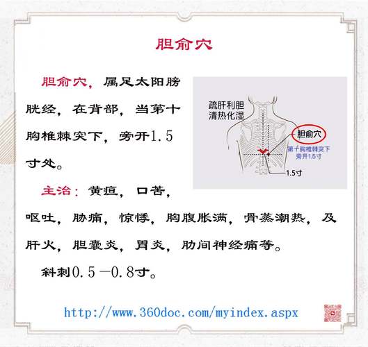 穴位拍打治疗胆结石