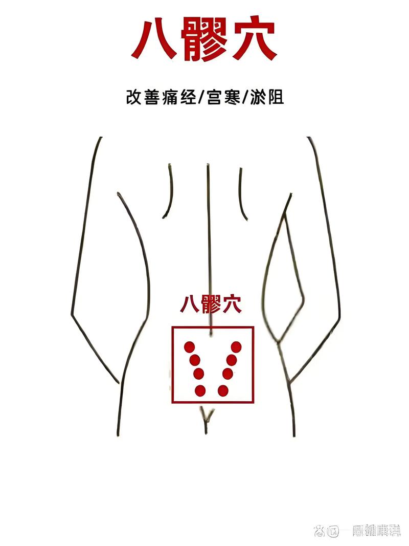 屁股穴位对应器官图