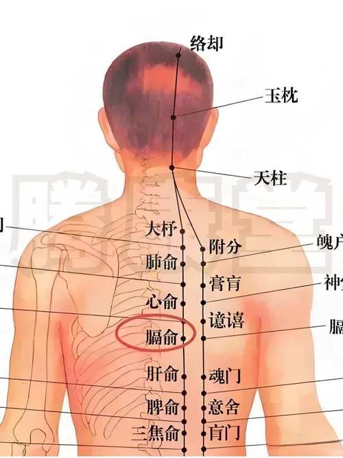 中医呃逆扎什么穴位