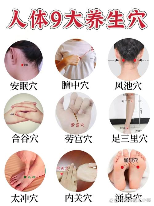 提高睡眠按哪些穴位