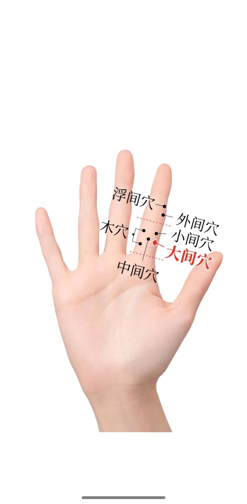 左手抖要按哪个穴位