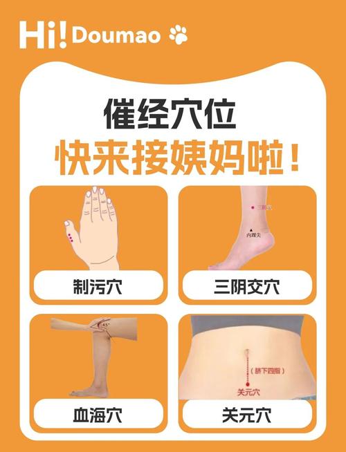 月经迟来按摩的穴位