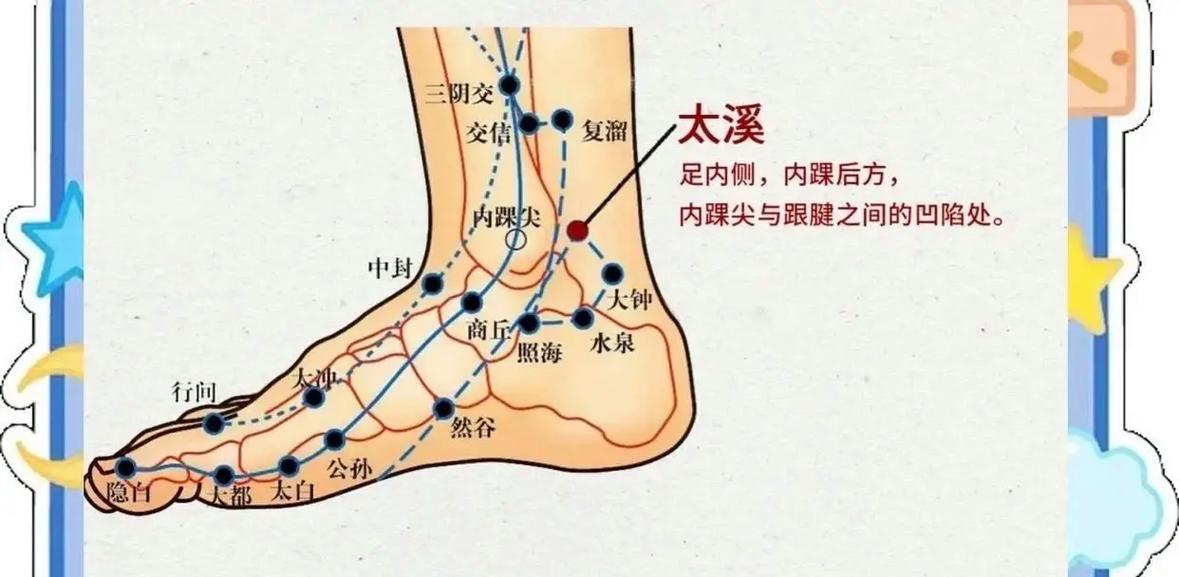 血压偏低按那些穴位