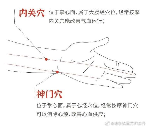 胳膊内侧是什么穴位