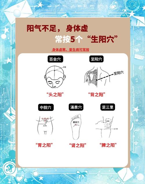 人体调动阳气的穴位