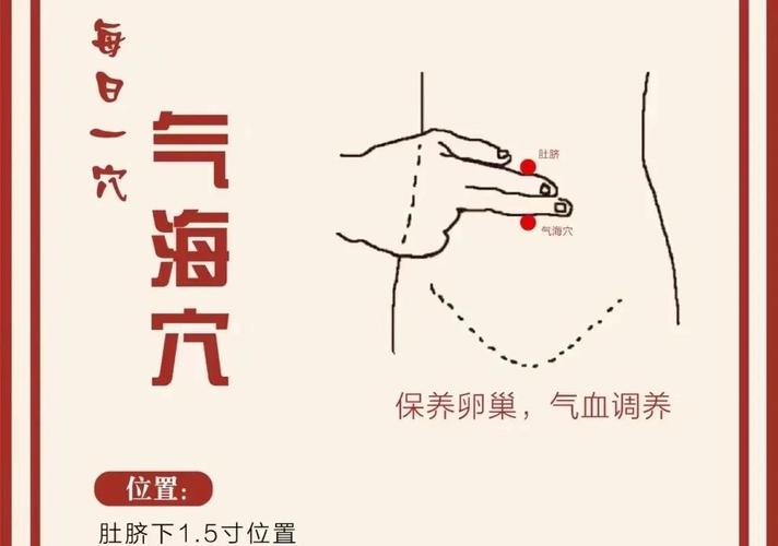 人体调动阳气的穴位