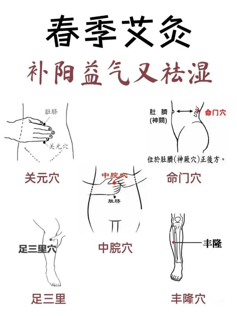 人体调动阳气的穴位