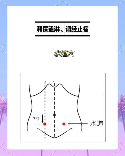 膀胱结石的按摩穴位