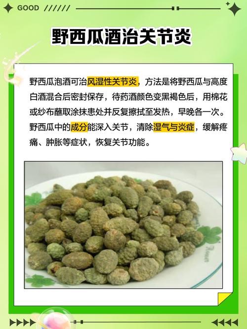 野西瓜泡酒能治风湿吗