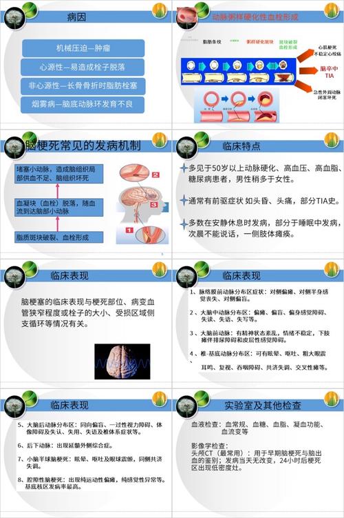 脑梗的护理诊断有哪些