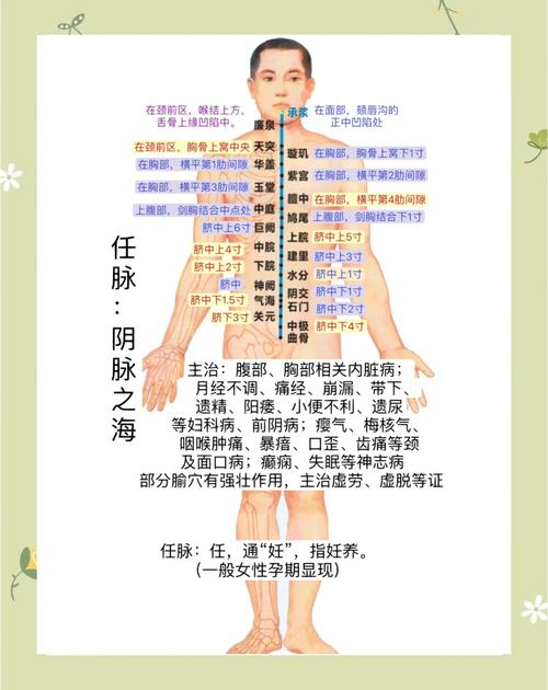 打通任脉按什么穴位