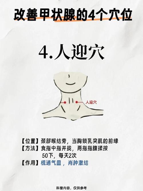 促甲状腺激素高穴位