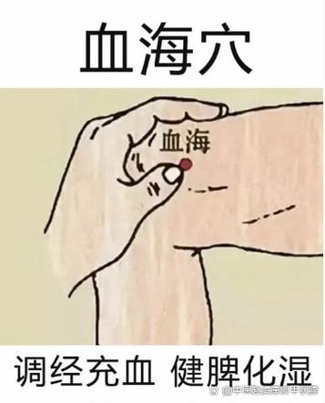 促甲状腺激素高穴位
