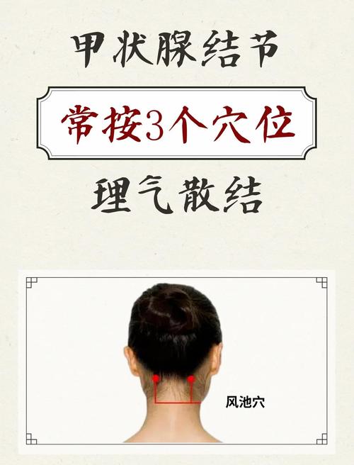 促甲状腺激素高穴位