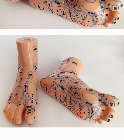 脚底哪个穴位能死人