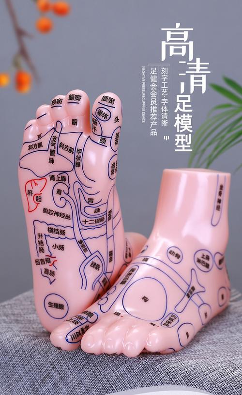 脚底哪个穴位能死人