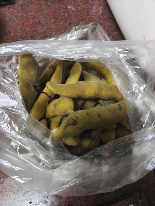 风湿脚痛可以吃尾豆吗