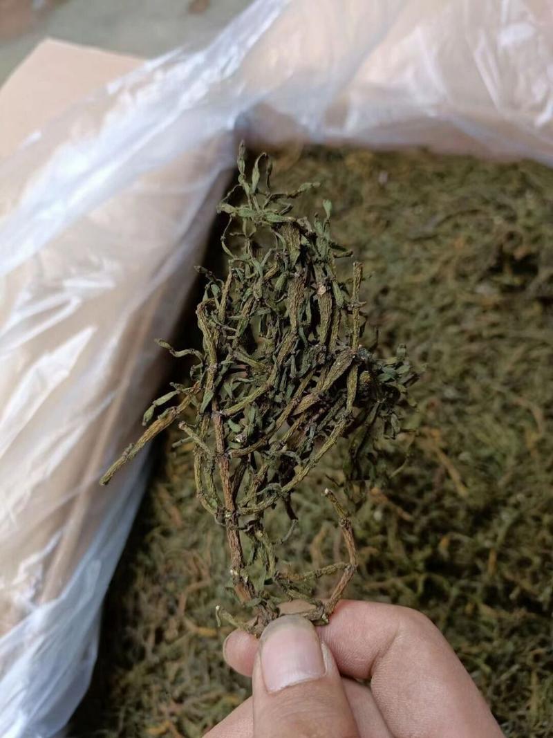 风湿脚痛可以吃尾豆吗