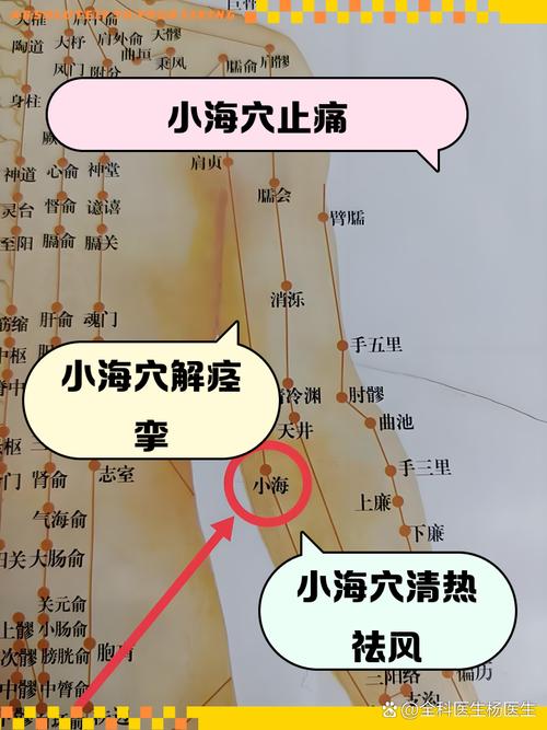 海鲜中毒的针灸穴位