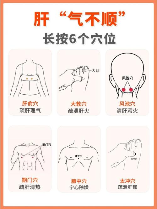 那个穴位是调理肝脏