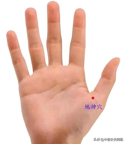 射精过快按什么穴位