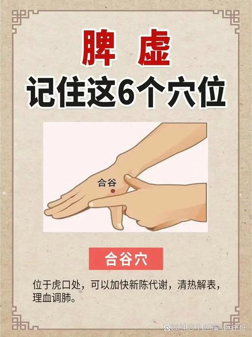 按什么穴位治疗脾虚