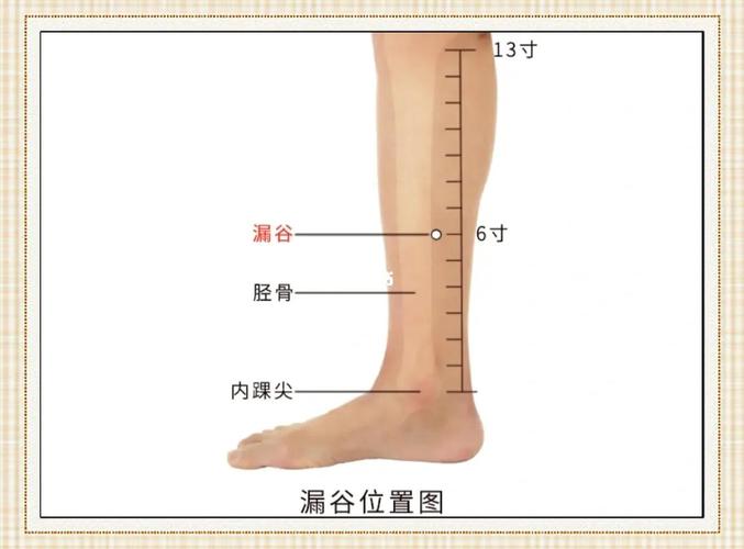 男性尿失禁相应穴位