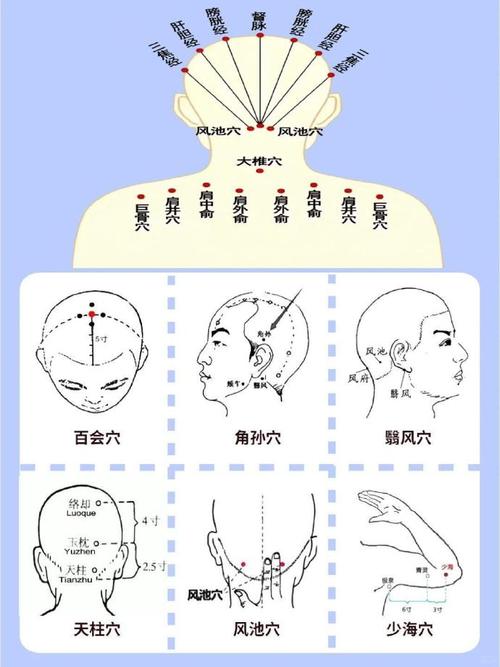 按摩哪个穴位生头发