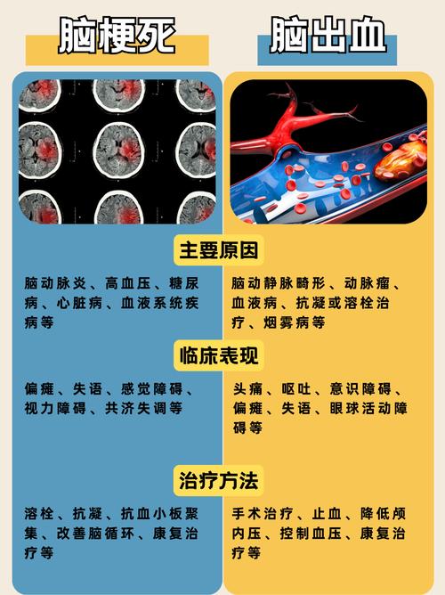 脑梗和脑溢血那个严重
