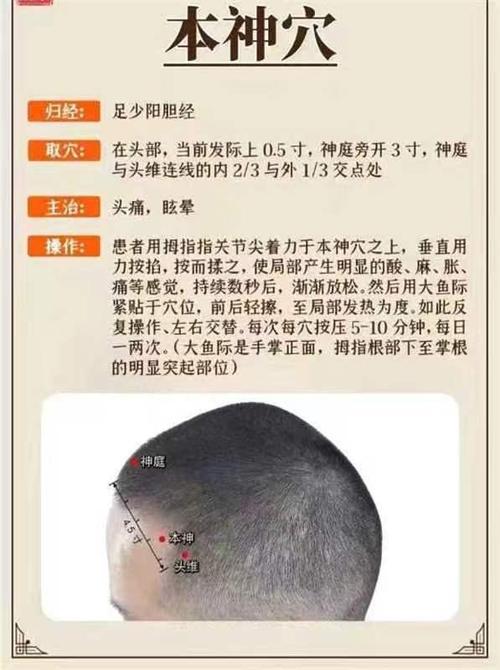 癫痫小发作穴位按摩