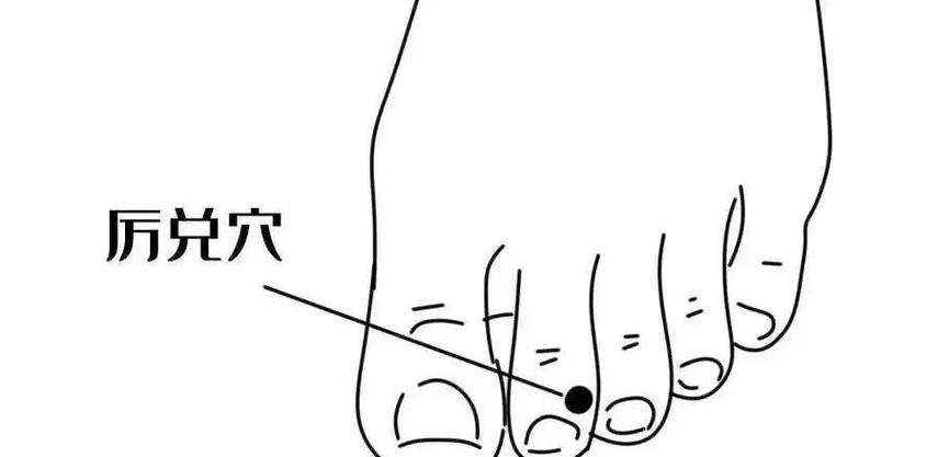 厉兑穴位功效图视频