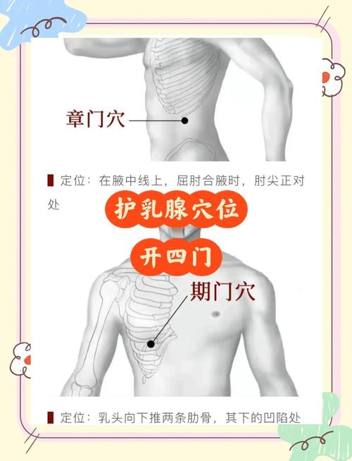 乳房增生的艾灸穴位