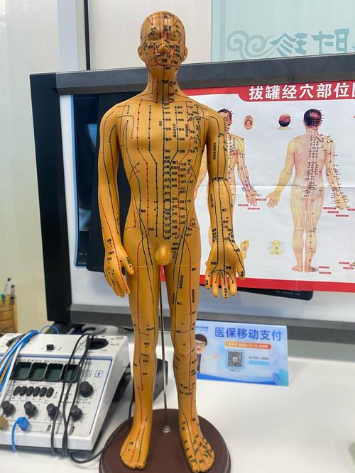 微电流 对人体穴位