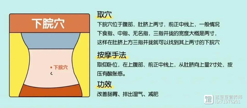 肚子上哪些穴位减肥