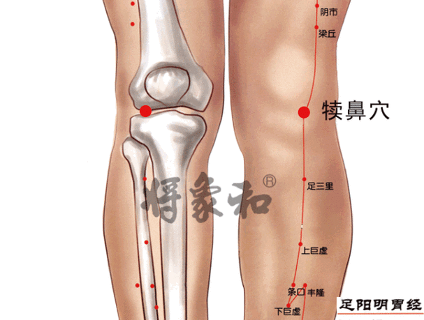 大腿侧边有什么穴位