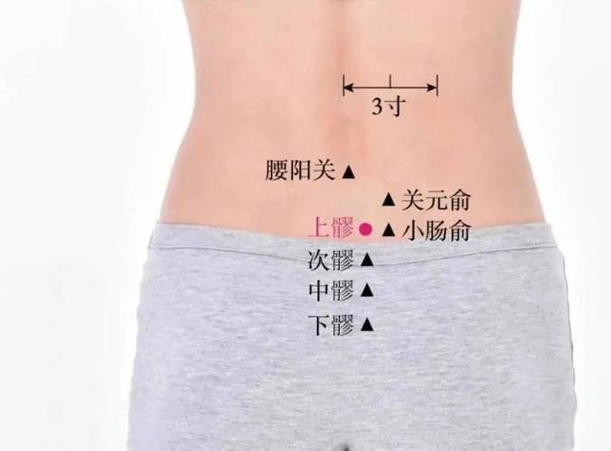 腰阳关穴位位置图片