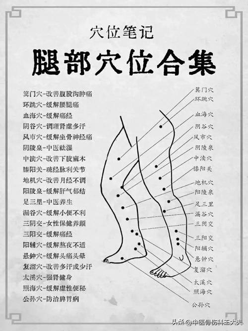 小腿肿按摩哪个穴位