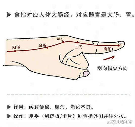 便秘应该推哪些穴位