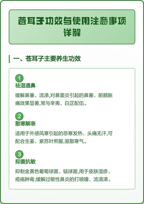 苍耳子怎么用治疗风湿