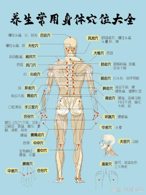 怎样记住人体的穴位