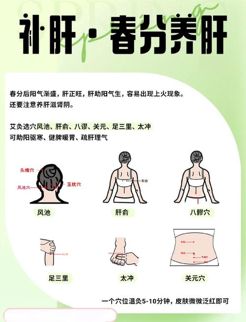 养胃艾灸什么穴位好