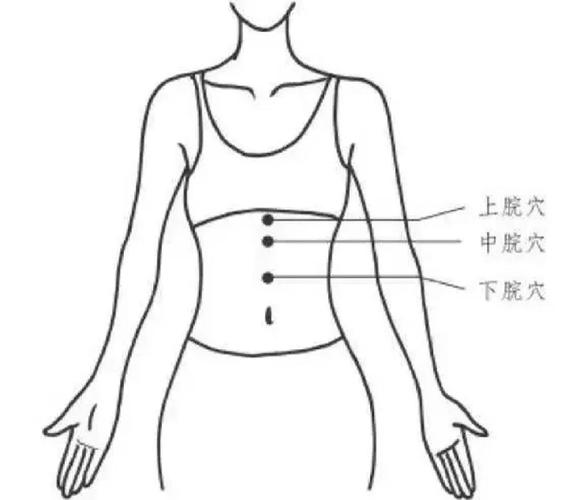 养胃艾灸什么穴位好