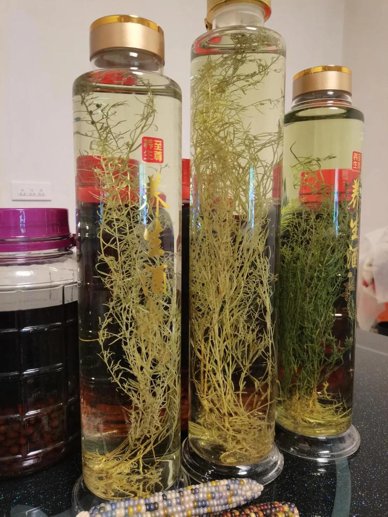 泡什么酒喝可以去风湿