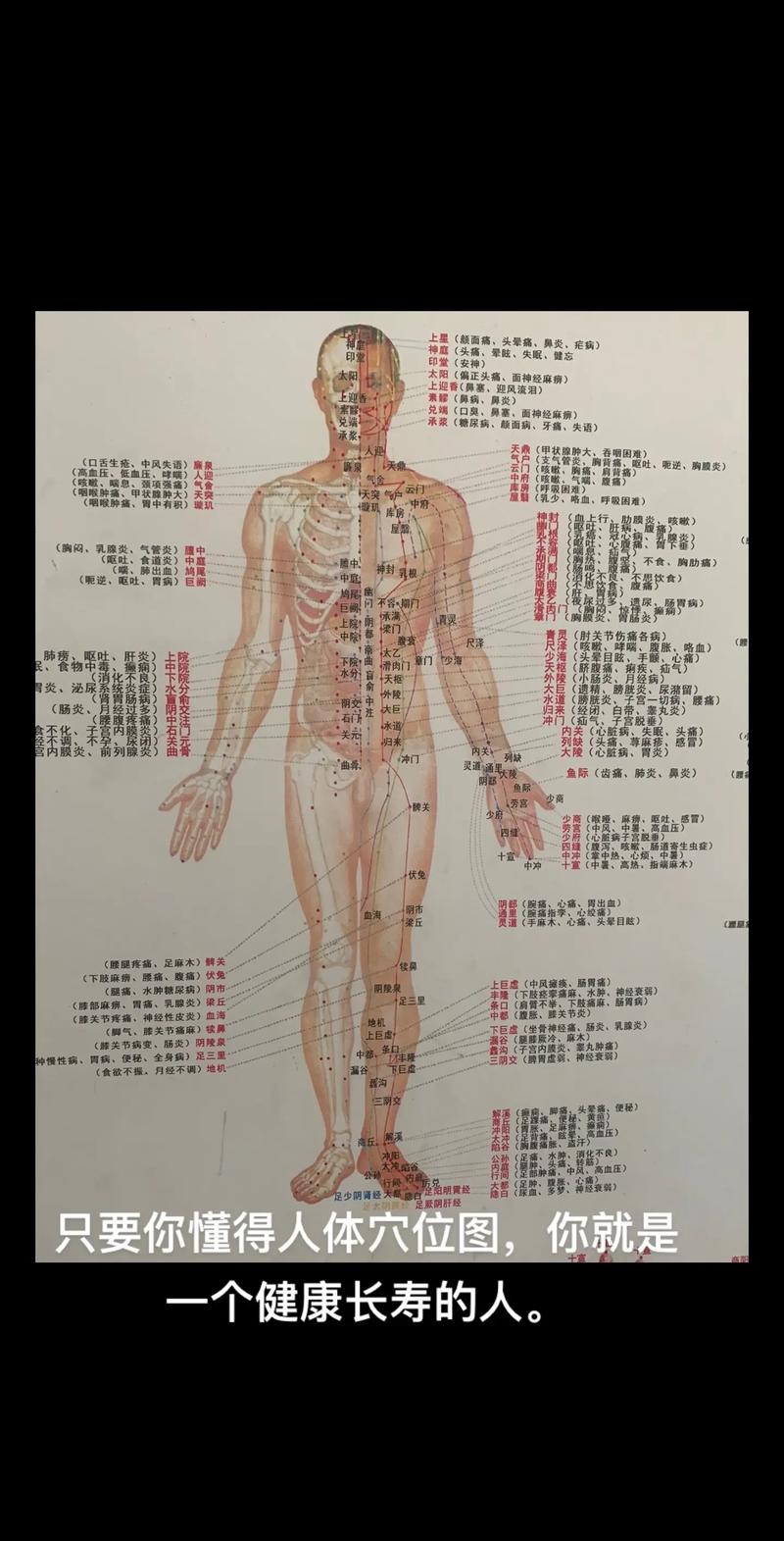人体全身有多个穴位
