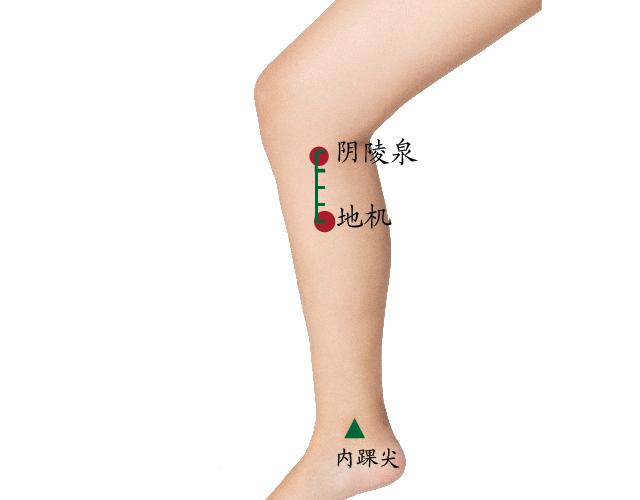 阴囊疼艾灸什么穴位