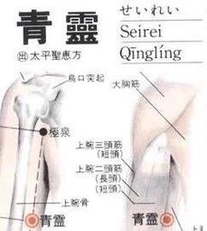 心经青灵穴位的作用
