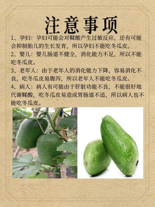 风湿骨痛可以吃冬瓜吗